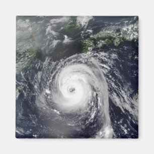 Typhoon Sinlaku 2 Magnet