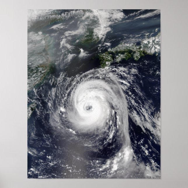 Typhoon Sinlaku 2 Poster (Vorne)