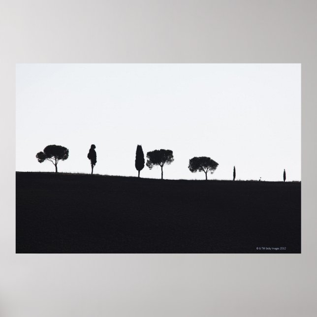 Typische Bäume in der Toskana Poster (Vorne)