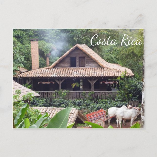Typische Costa Rica Zuhause und Oxcart Postkarte (Vorderseite)