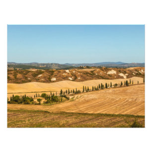 Typische Landschaften für die Provinz Siena in der Fotodruck