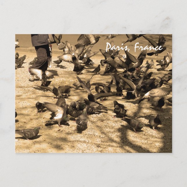 Typische Pariser Szene Postkarte (Vorderseite)