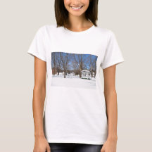 Typische Stadt Vermont im Winter