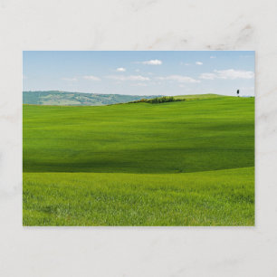 Typische toskanische Landschaft mit Hügeln - Itali Postkarte
