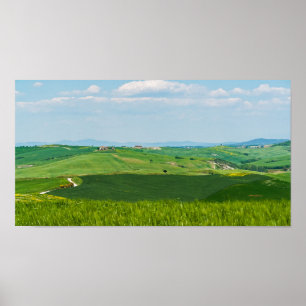 Typische toskanische Landschaft Poster