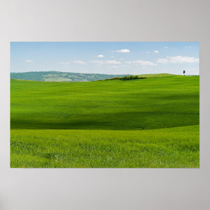 Typische toskanische Landschaft Poster