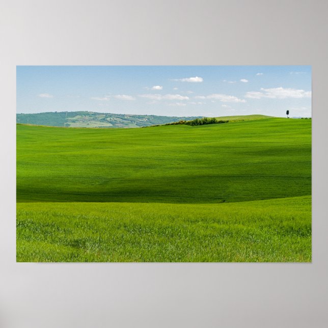 Typische toskanische Landschaft Poster (Vorne)