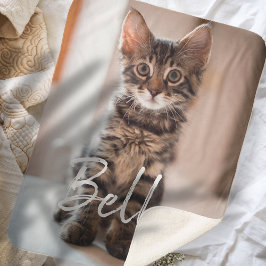 Typologie und Foto von Haustieren Sherpadecke