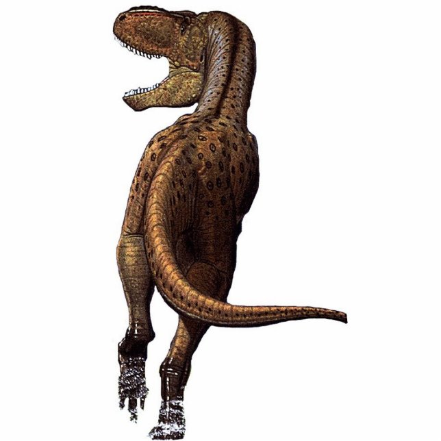 Tyrannosaur-Dinosaurier-Foto-Skulptur Freistehende Fotoskulptur (Vorne)