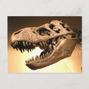 Tyrannosaurus Rex Postcard Postkarte