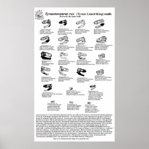 Tyrannosaurus rex poster