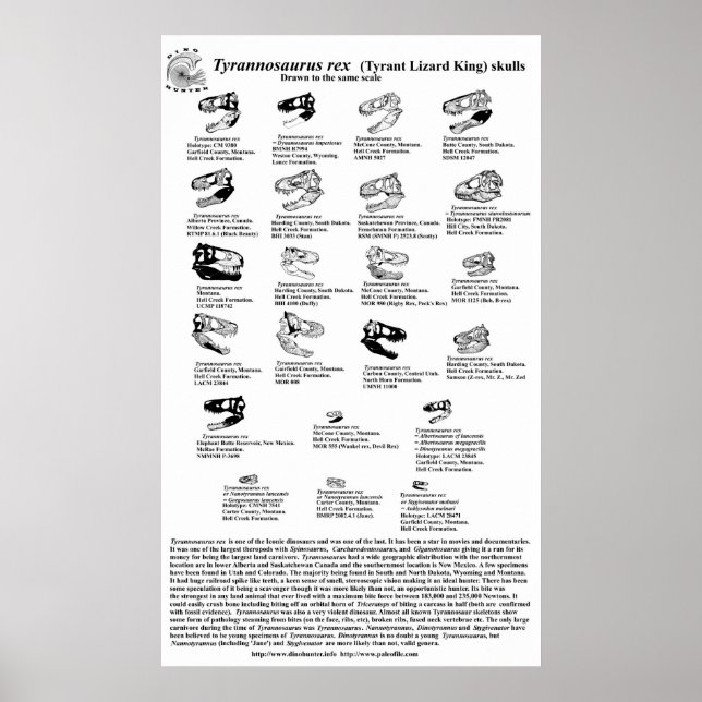Tyrannosaurus rex poster (Vorne)