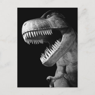 Tyrannosaurus Rex Postkarte