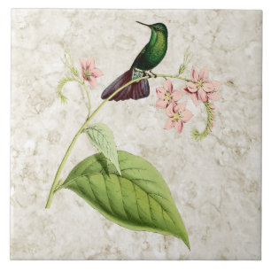 Tyrian Metal Schwanz Hummingbird Keramik Tile Fliese