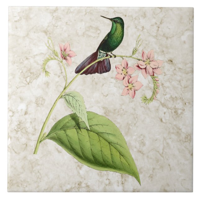 Tyrian Metal Schwanz Hummingbird Keramik Tile Fliese (Vorderseite)