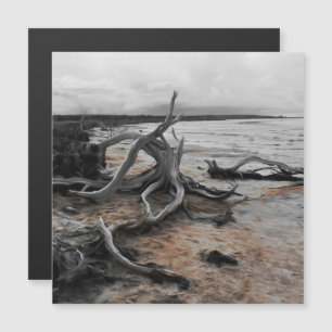 Tyrrell-See Naturkräfte Magnetkarte