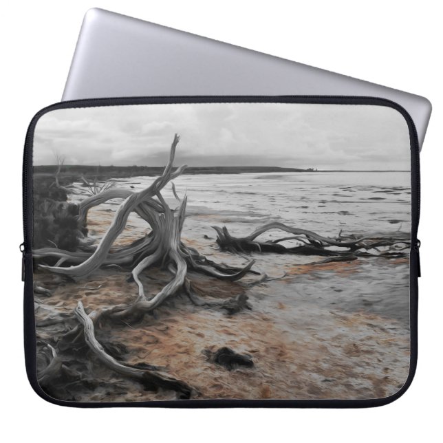 Tyrreller Naturschutzgebiete Bergsee-Schluchten Laptopschutzhülle (Vorderseite)