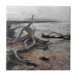 Tyrreller Naturschutzgebiete Fliese