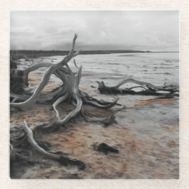 Tyrreller Naturschutzgebiete Glasuntersetzer