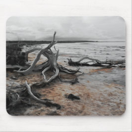 Tyrreller Naturschutzgebiete Mousepad