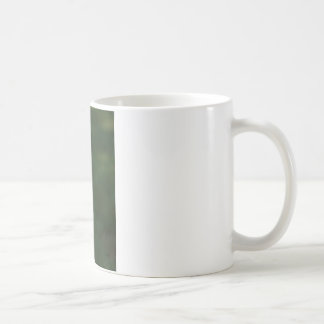 "Tysson" weiße Boxer-HundeFoto-Tasse Kaffeetasse