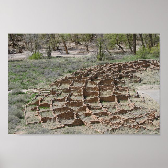 Tyuonyi Ruins, Bandelier National Monument, N.M. Poster (Vorne)
