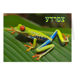 Tzefardea auf Hebräisch bedeutet "Frosch"