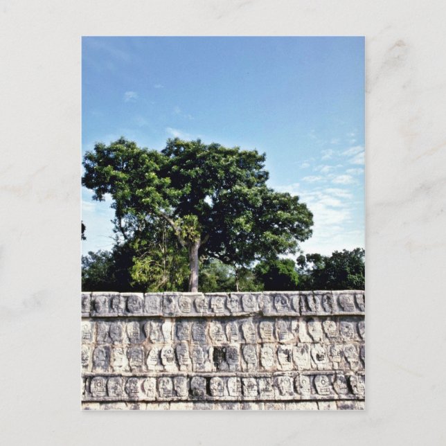 Tzompantli-Schädelmauer, Chichen Itza Postkarte (Vorderseite)