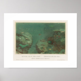 U-Boot-Felsen mit grünen Korallen Poster(1867) Poster