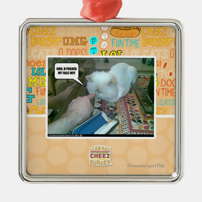 U drückte mein Gesicht ein! Silbernes Ornament (Vorne)