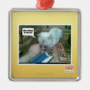 U drückte mein Gesicht ein! Silbernes Ornament