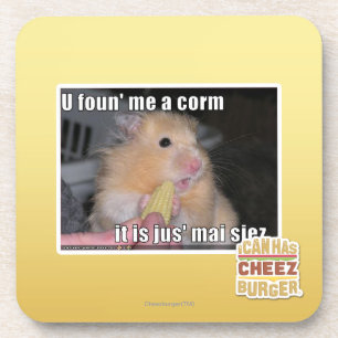 U fand mich ein Mais Getränkeuntersetzer