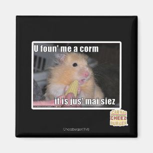 U fand mich ein Mais Magnet
