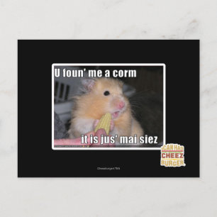 U fand mich ein Mais Postkarte