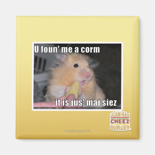 U fand mich einen Mais Magnet