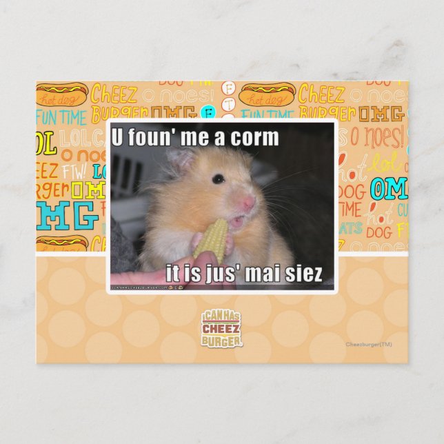 U fand mich einen Mais Postkarte (Vorderseite)