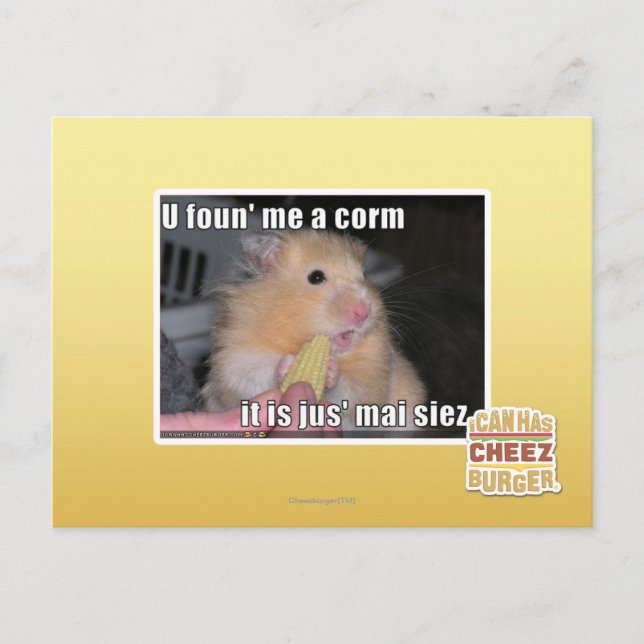 U fand mich einen Mais Postkarte (Vorderseite)