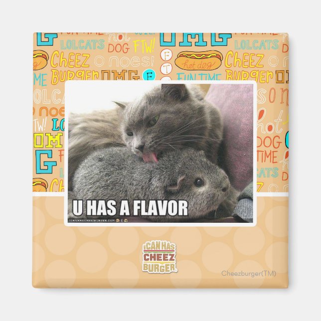 U HAT EINEN FLAVOR MAGNET (Vorne)