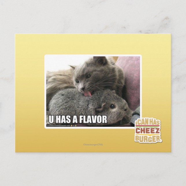U HAT EINEN FLAVOR POSTKARTE (Vorderseite)