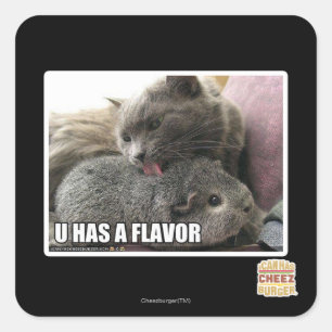 U HAT EINEN FLAVOR QUADRATISCHER AUFKLEBER