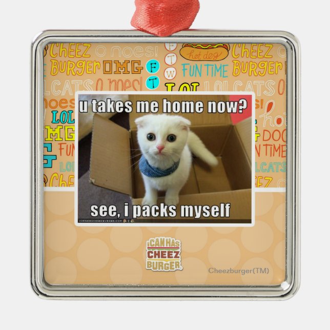 U nehmen mir Zuhause jetzt? Ornament Aus Metall (Vorne)