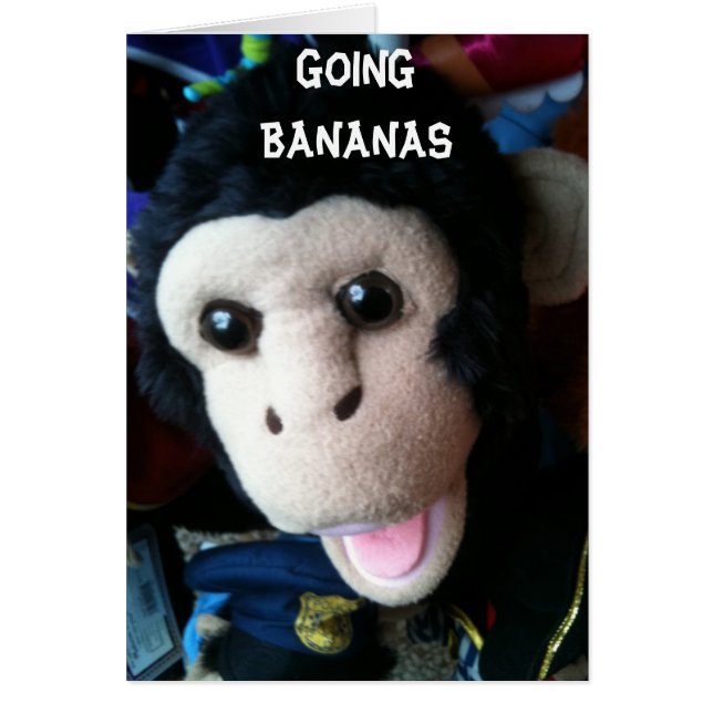 U R ‚40‘ - GOING BANANAS (Vorne)