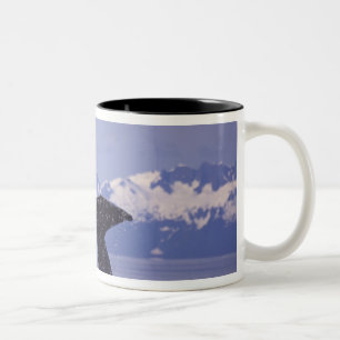 U.S.A., Alaska, Inside Passage Humpback Wal Zweifarbige Tasse