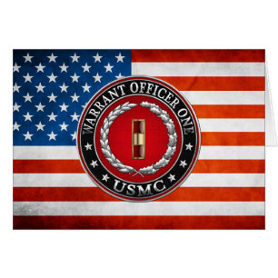 U.S. Marines: Anweisungsbefugter 1 (USMC WO-1) [3D