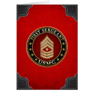 U.S. Marines: Erster Sergeant (USMC 1stSgt) [3D]