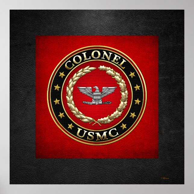 U.S. Marines: Oberst (USMC Col) [3D] Poster (Vorne)