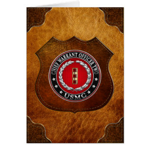 U.S. Marinesoldaten: Hauptermächtigung zwei (USMC