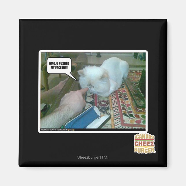 U stieß mir ins Gesicht! Magnet (Vorne)