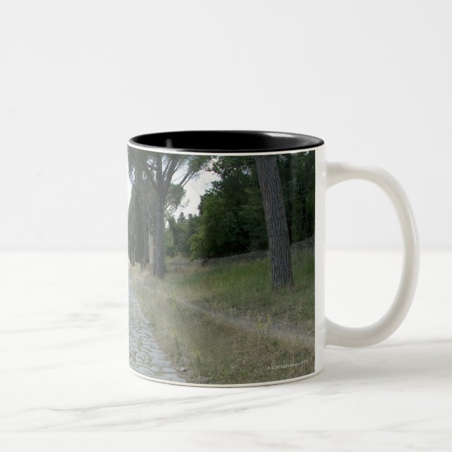 Über Appia Appian Weise römische Fahrbahn Zweifarbige Tasse (Rechts)