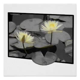 Über das Glossy Poster hinaus blühen